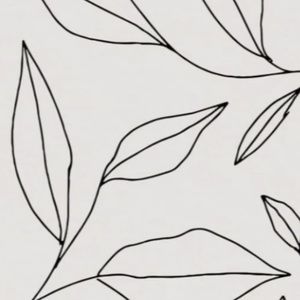 Meet your Posher, Ashlyn